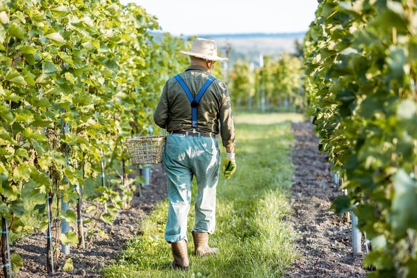 Comment animer votre séjour camping dans la Drôme ?